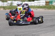 20110501_ales_agnus (3406)